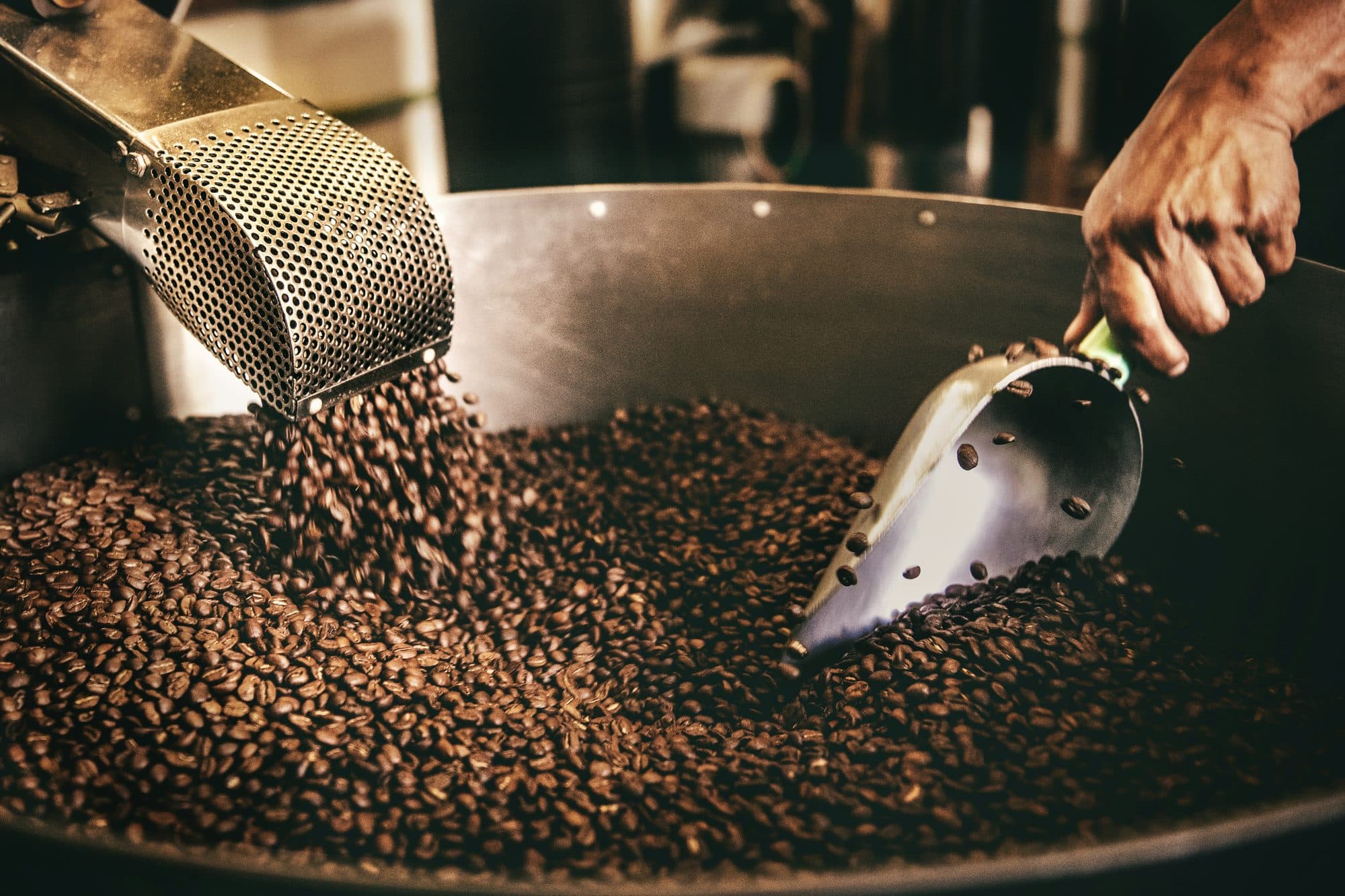 Boabe de cafea proaspăt prăjite care cad din prăjitor în tava de răcire, amestecate cu o lopățică metalică